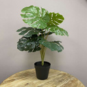 Monstera roślina sztuczna 60 cm