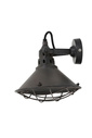 Kinkiet BERRY ROESES 23 x 21 cm Light & Living