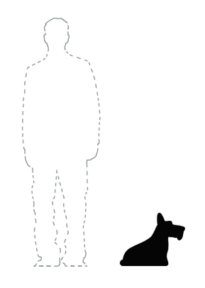 Lampa SCOTTIE Biała