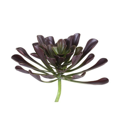Sukulent roślina Flora coll. Succulent Lene Bjerre Item:299502403